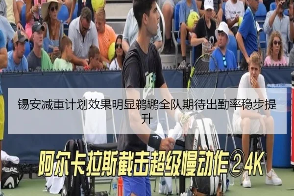 img_1785230375116_427_1_828.jpg